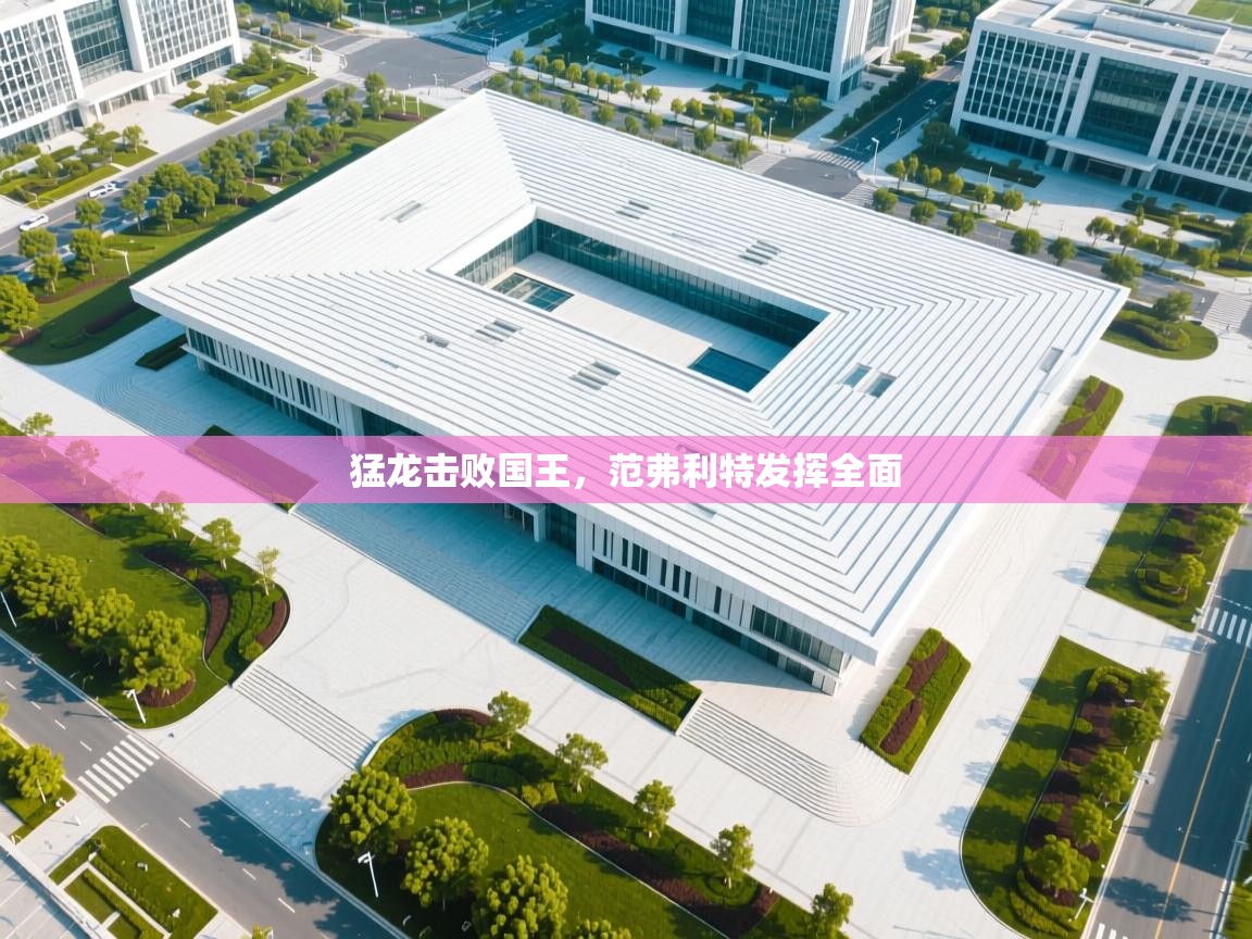 猛龙击败国王，范弗利特发挥全面  第1张