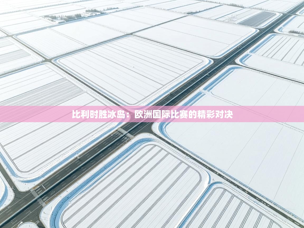 比利时胜冰岛：欧洲国际比赛的精彩对决  第1张