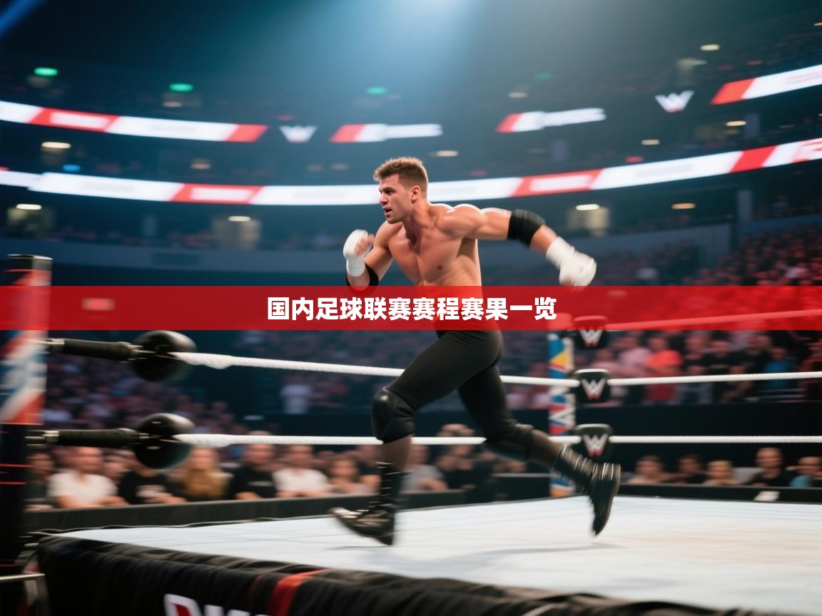 国内足球联赛赛程赛果一览