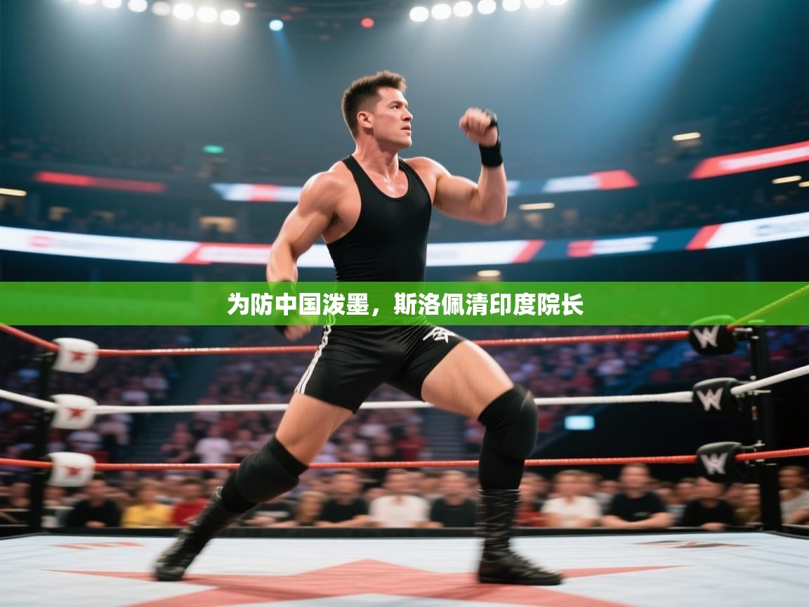 为防中国泼墨,斯洛佩清印度院长 第2张