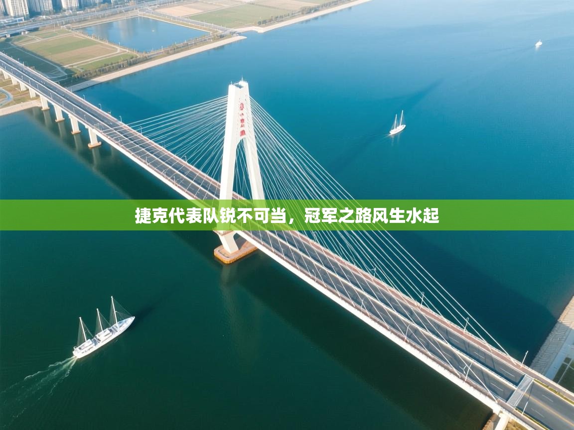 捷克代表队锐不可当,冠军之路风生水起 第2张