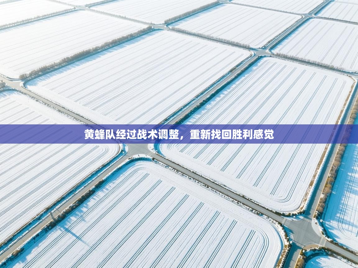 黄蜂队经过战术调整，重新找回胜利感觉