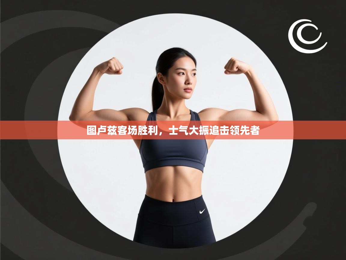 图卢兹客场胜利,士气大振追击领先者 第1张