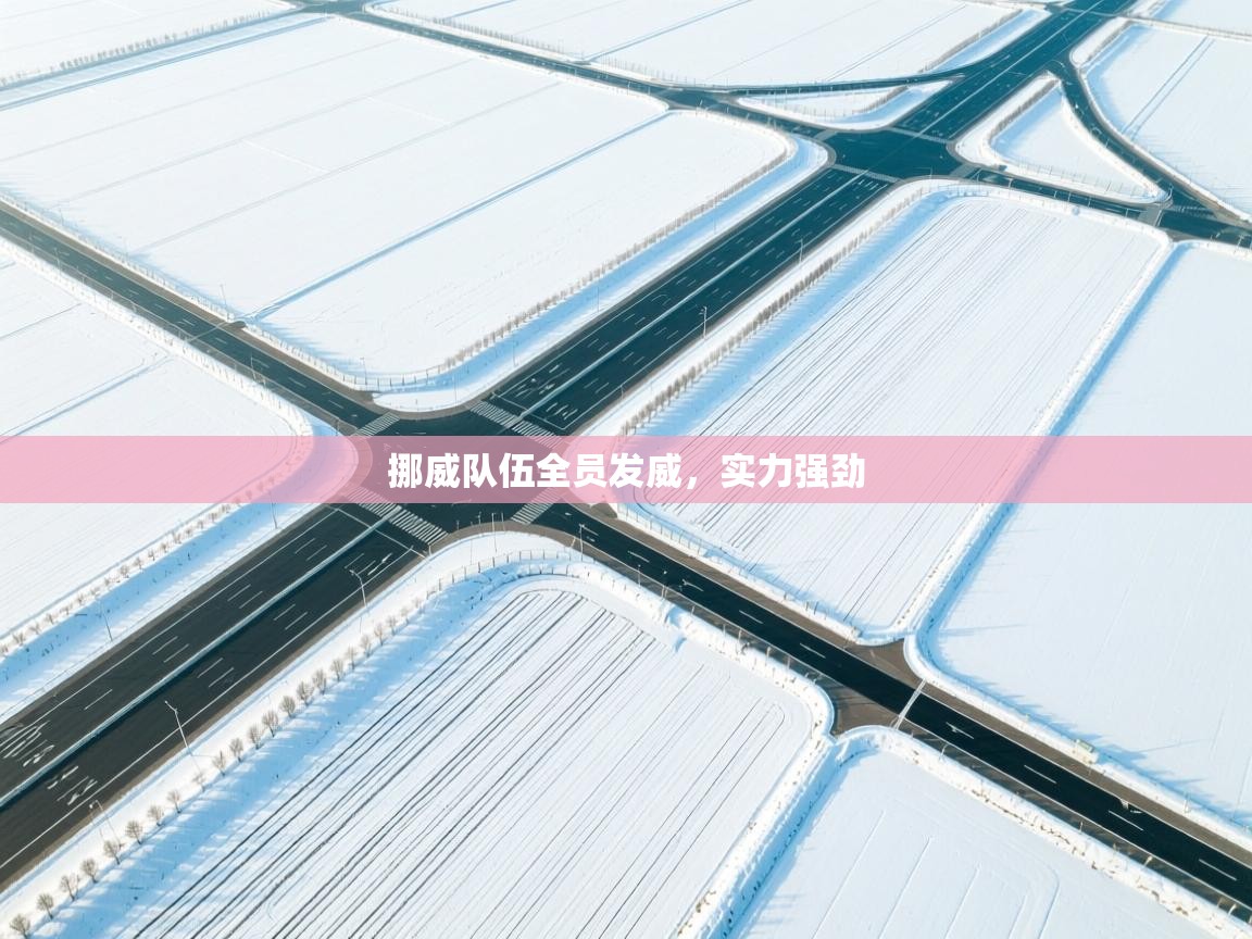 挪威队伍全员发威，实力强劲  第1张