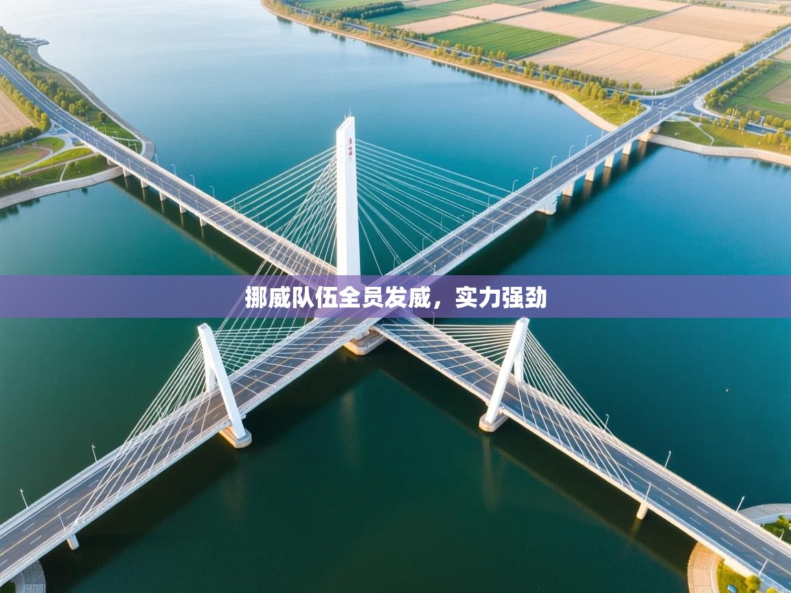 挪威队伍全员发威，实力强劲  第2张